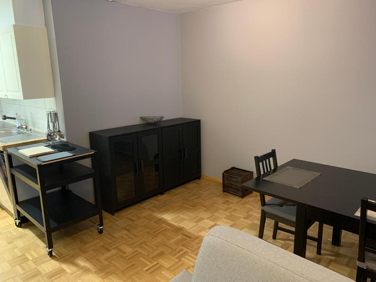 Xl City Center Apartment-Contactless Check-In Basel Eksteriør billede