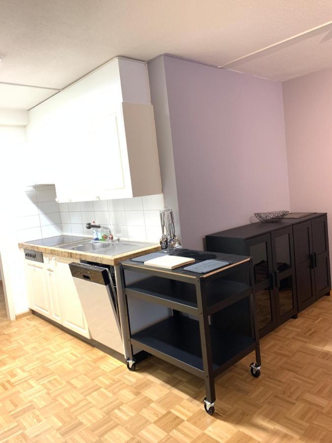 Xl City Center Apartment-Contactless Check-In Basel Eksteriør billede